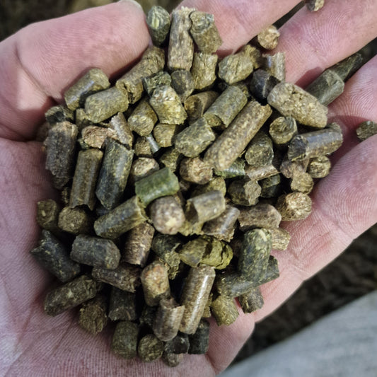 MyPellis Esparsettepellets – Detailansicht der gepressten Futterpellets aus Esparsette für Pferde, zur Unterstützung von Verdauung und Wohlbefinden.