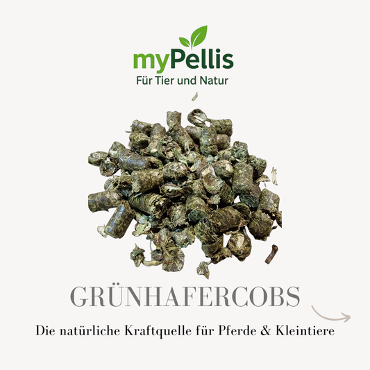 MyPellis Günhafercobs – strukturreiche, gepresste Futtercobs aus jungem grünem Hafer in Nahaufnahme