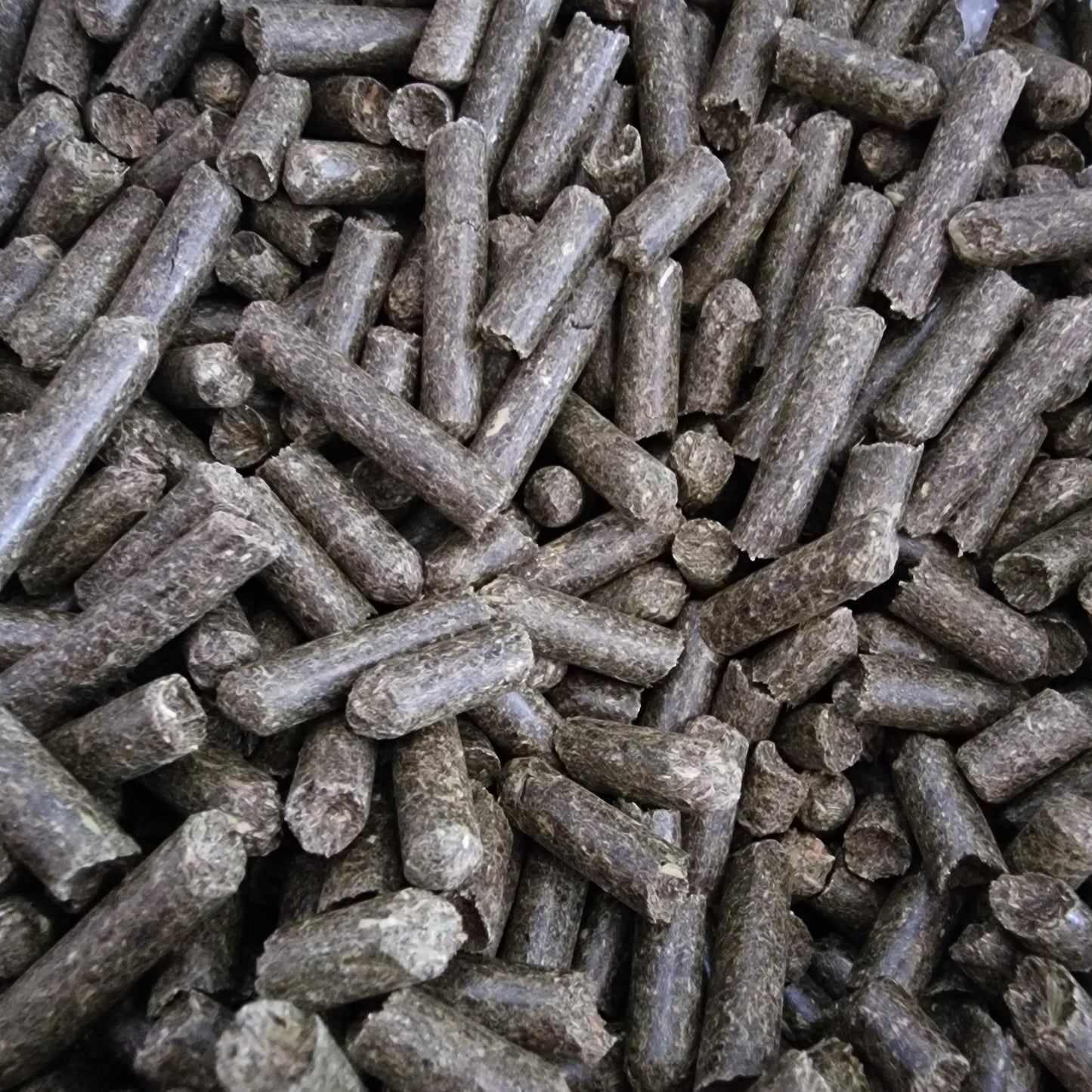 MyPellis Heupellets – natürliches Futter aus getrocknetem Wiesenheu für Kaninchen, Meerschweinchen und andere Nagetiere