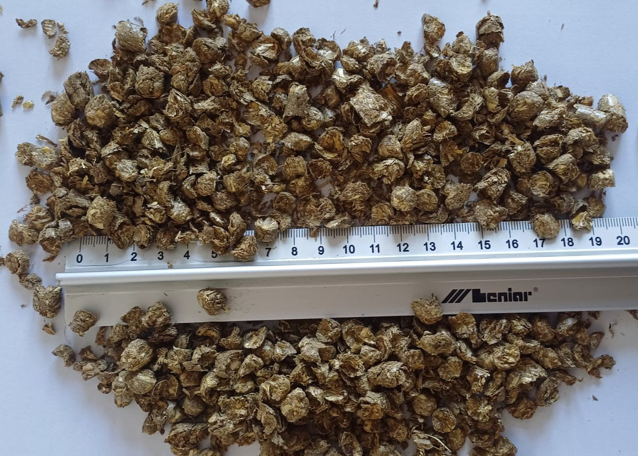 MyPellis Strohgranulat – naturbelassene Einstreu mit Lineal zur Größenansicht der Granulatkörnung.