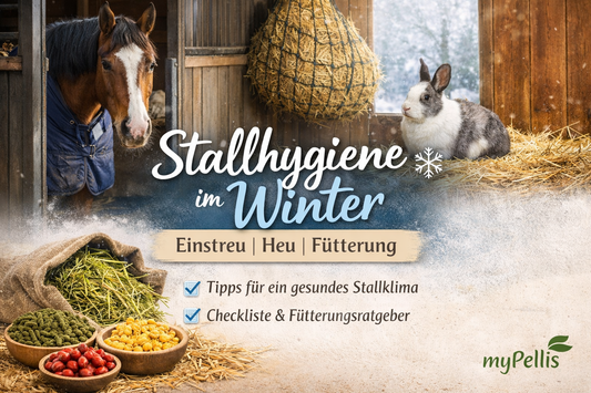 ferd und Kaninchen im winterlichen Stall mit Heu und Einstreu – Ratgeber zur Stallhygiene im Winter mit Tipps zu Einstreu, Heu und Fütterung von myPellis