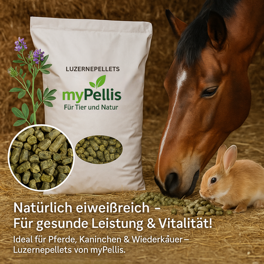 MyPellis Luzernepellets – eiweißreiches Naturfutter für Pferde Huftiere und Nagetiere, ideal für Muskelaufbau und Vitalität