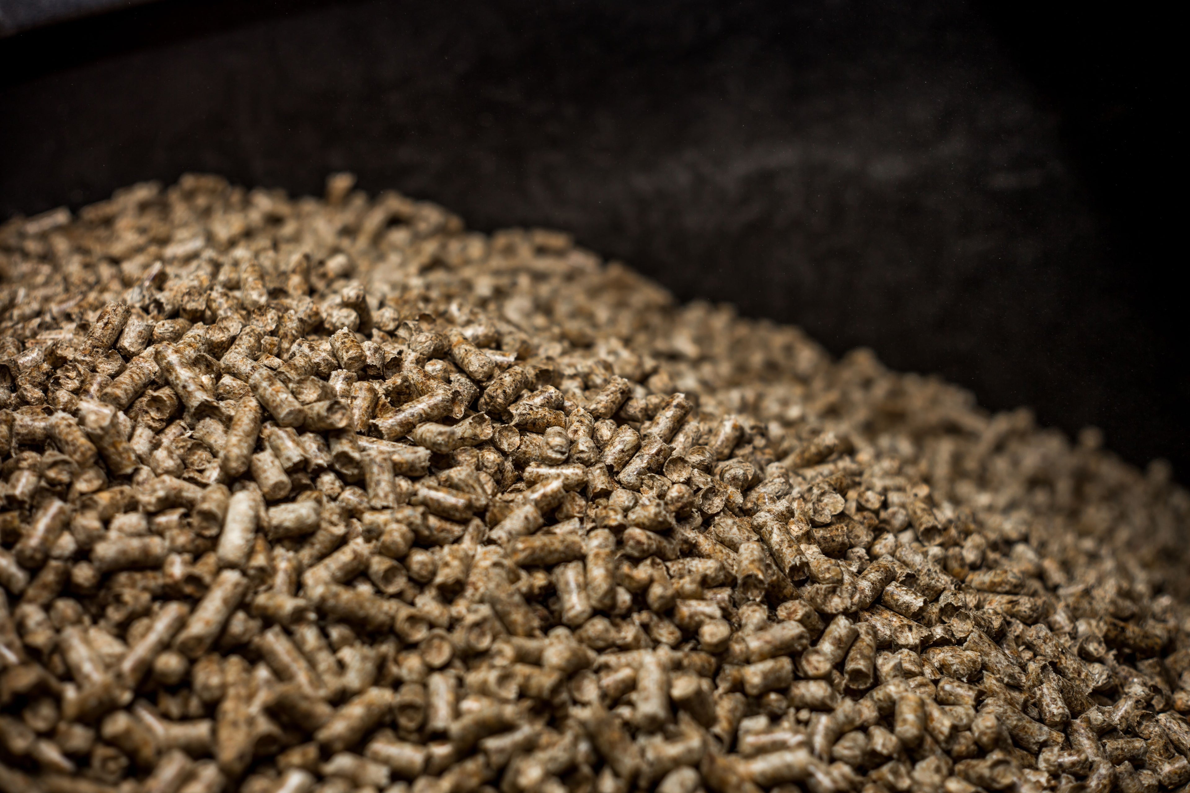 Hochauflösende Detailaufnahme von myPellis-Pellets – natürliche Struktur und Qualität für Tier und Natur