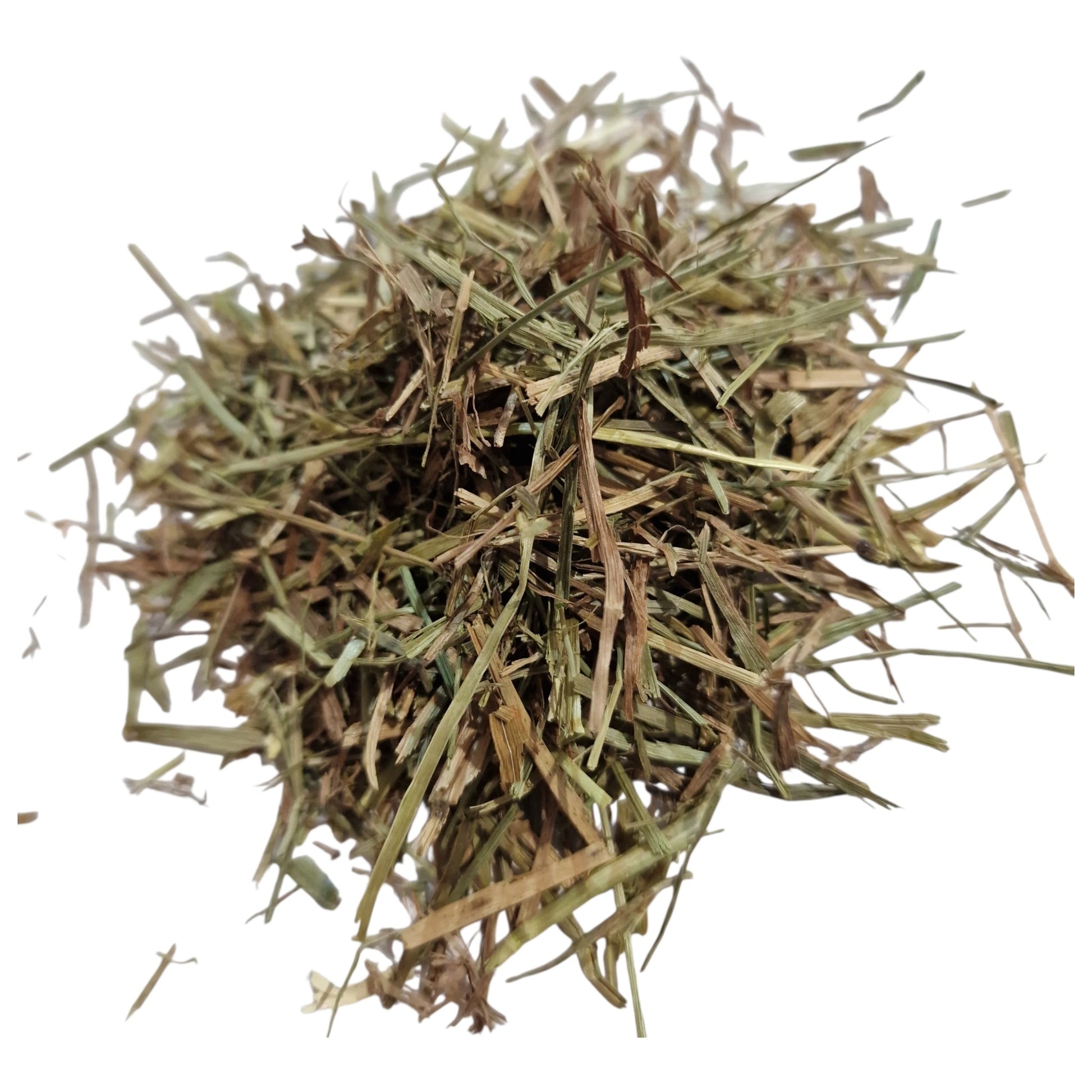 Detailaufnahme von Timothy-Heu Wiesenlieschgras Struktur von oben