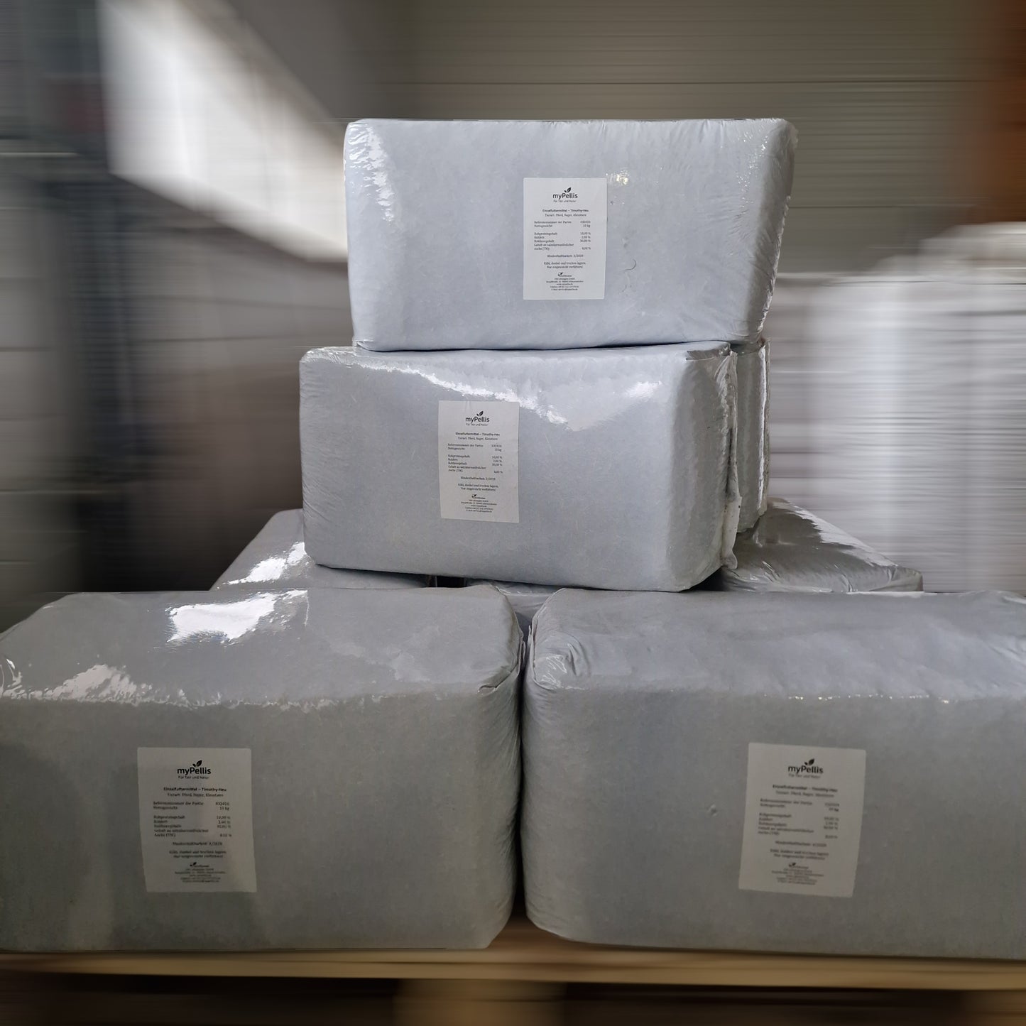 Mehrere Timothy-Heu Ballen in weißer Folie auf Palette gestapelt im Lager