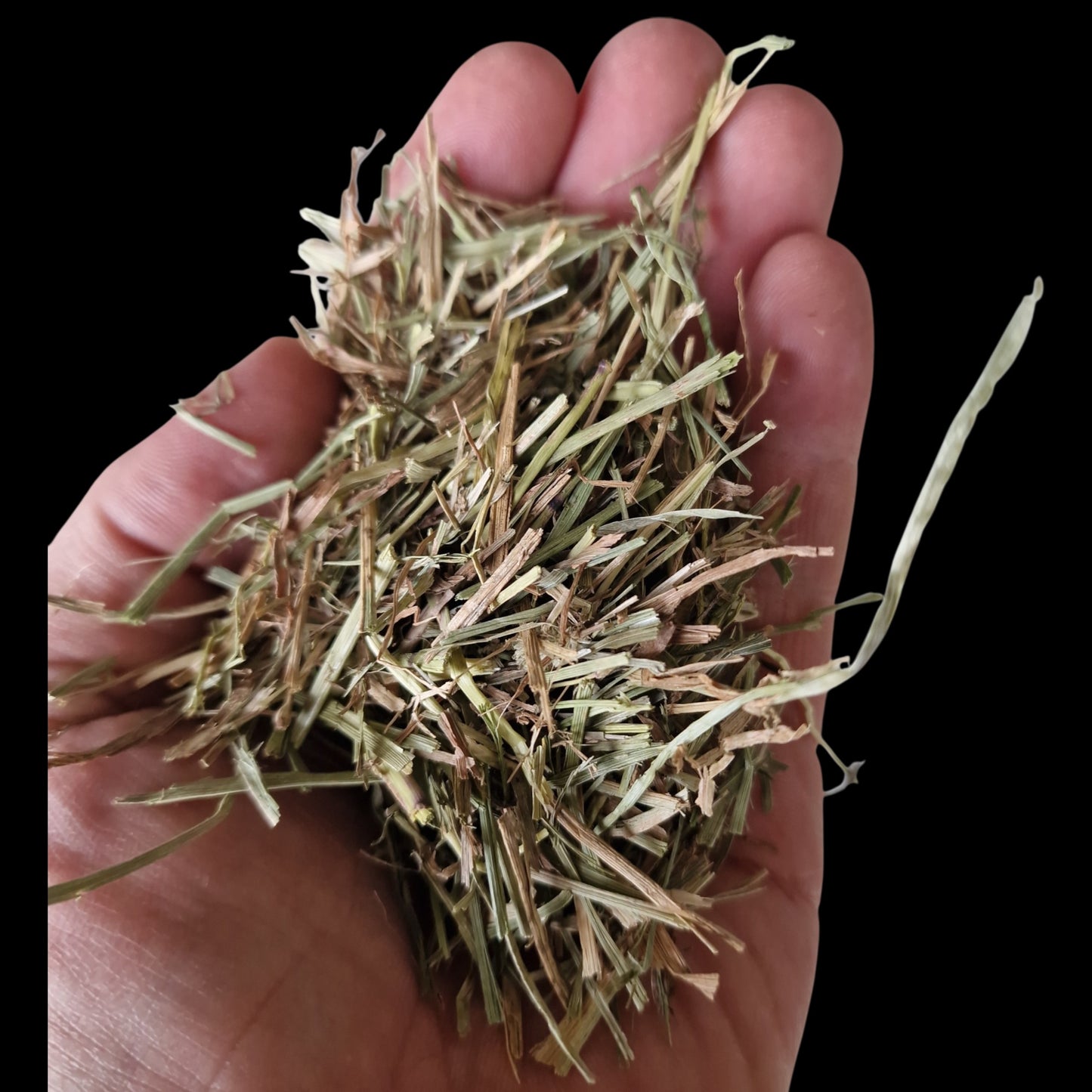 Timothy-Heu für Pferde in der Hand als strukturreiche Raufutterprobe