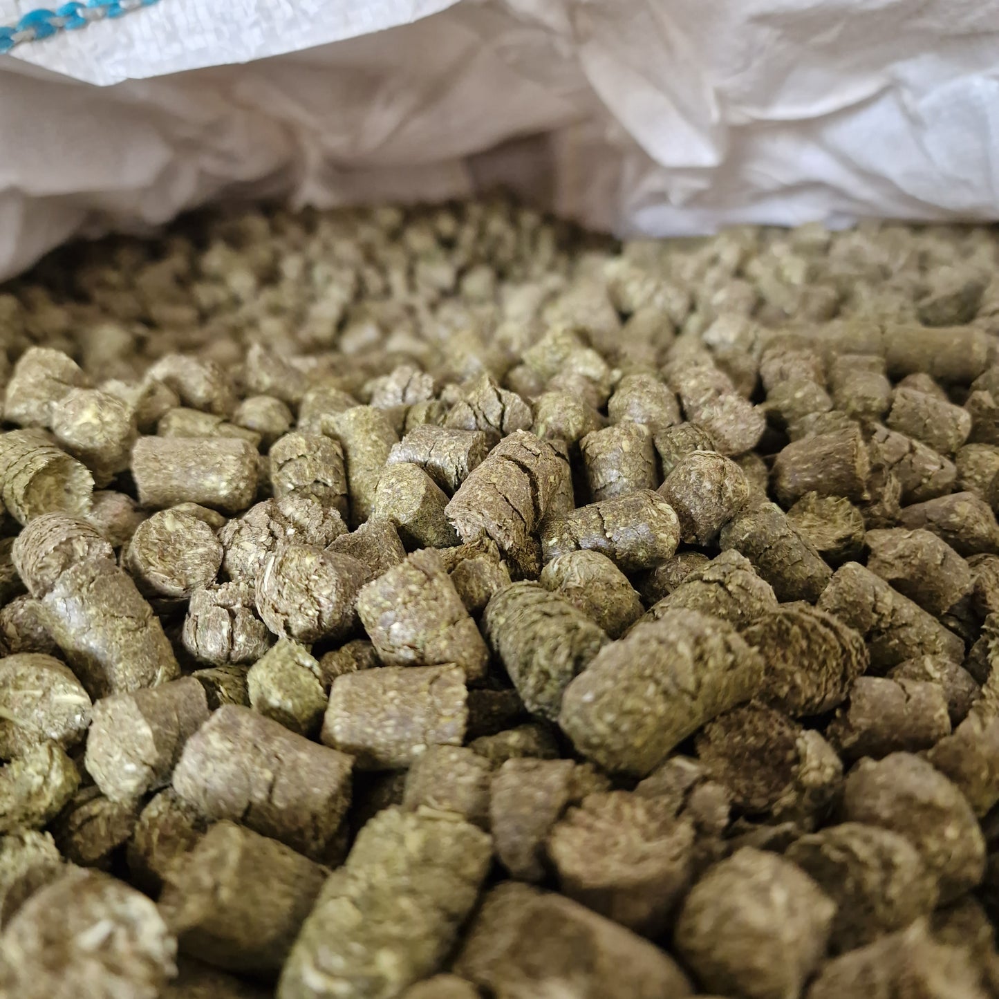 Timothy Heucobs 12 mm im BigBag – Einzelfuttermittel aus Wiesenlieschgras von myPellis