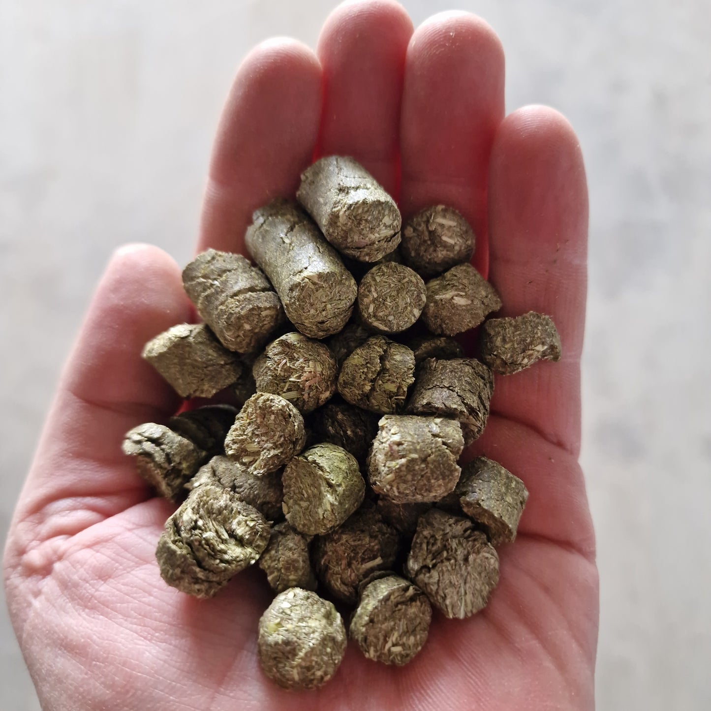 Timothy Heucobs 12 mm aus Wiesenlieschgras in der Hand – Größe und Struktur der Heucobs von myPellis