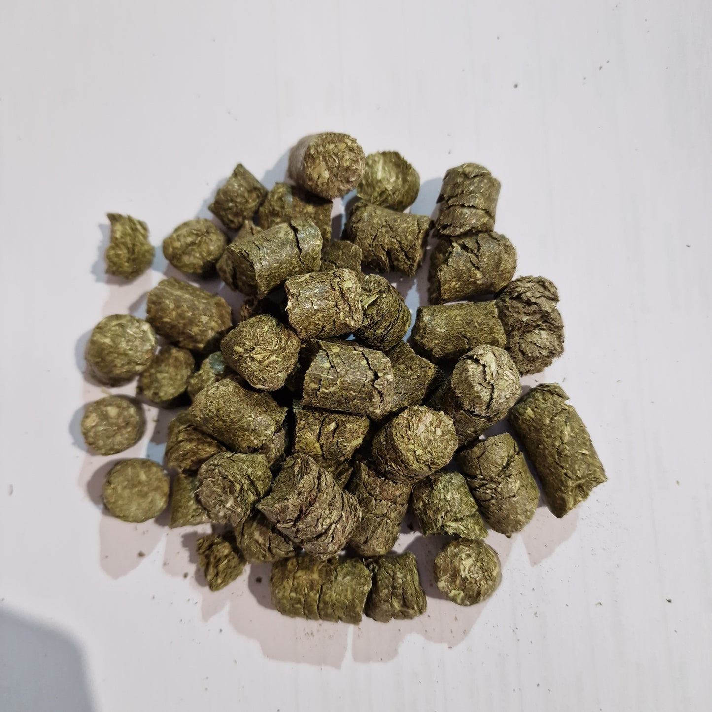 Timothy Heucobs 12 mm aus Wiesenlieschgras – Detailaufnahme der Heucobs von myPellis