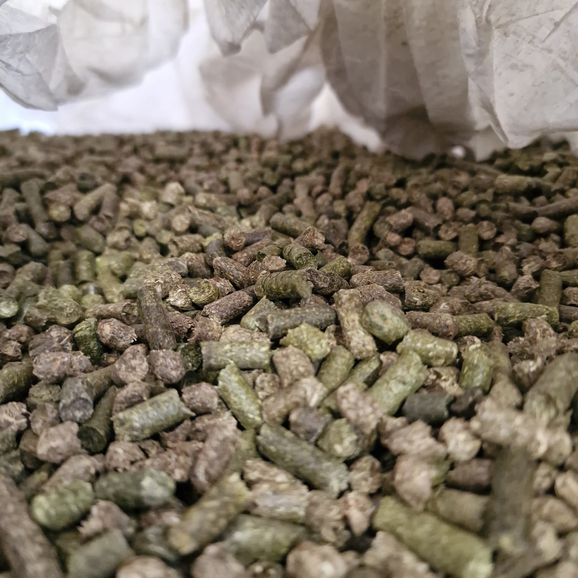 Timothy Heupellets 6 mm im BigBag – Einzelfuttermittel aus Wiesenlieschgras von myPellis