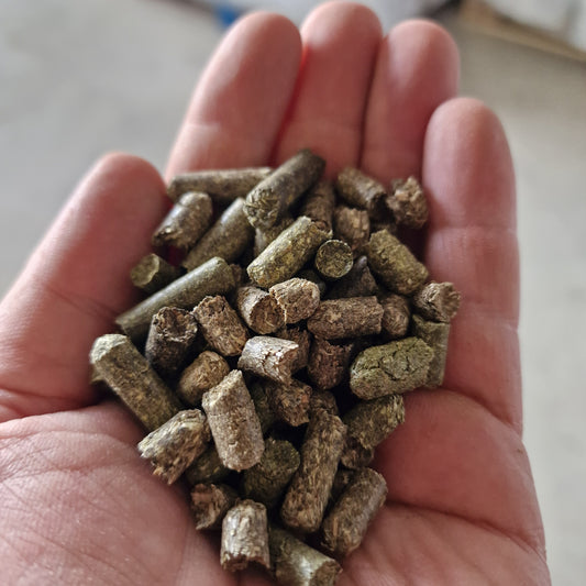 Timothy Heupellets 6 mm aus Wiesenlieschgras in der Hand – Struktur und Größe der Pellets von myPellis