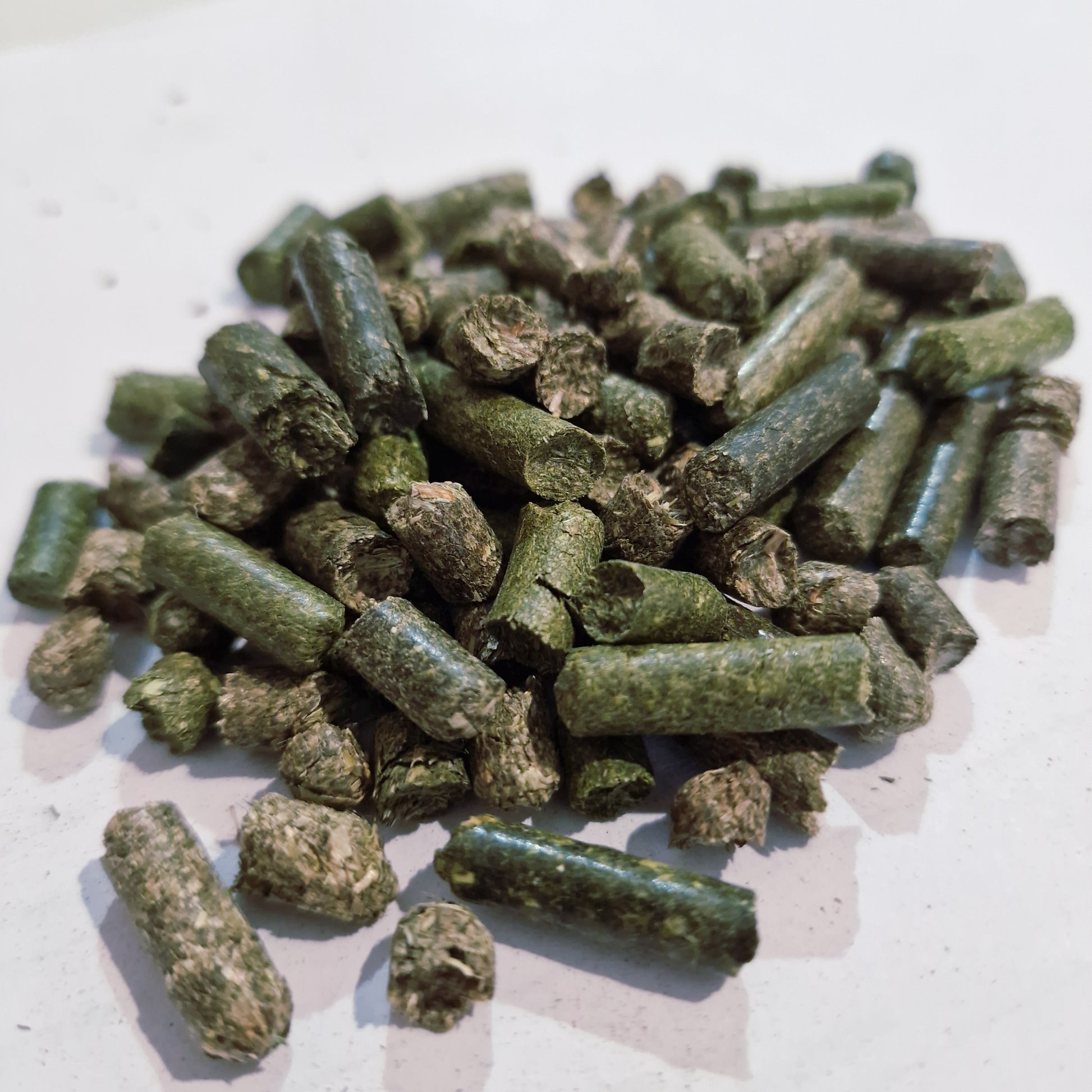 Timothy Heupellets 6 mm aus Wiesenlieschgras – Detailaufnahme der Pellets von myPellis