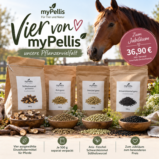 4 myPellis Produkte Sueßholzwurzel Anis Fenchel Schwarzkuemmel im Bundle